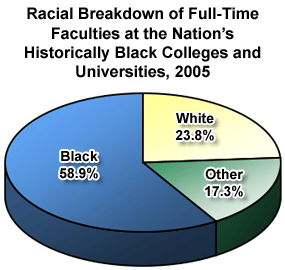 Lsu Ethnic Diversity Pie Chart